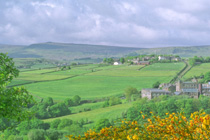 Bolster Moor