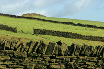 Drystone walls