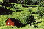 Red hut on hillside